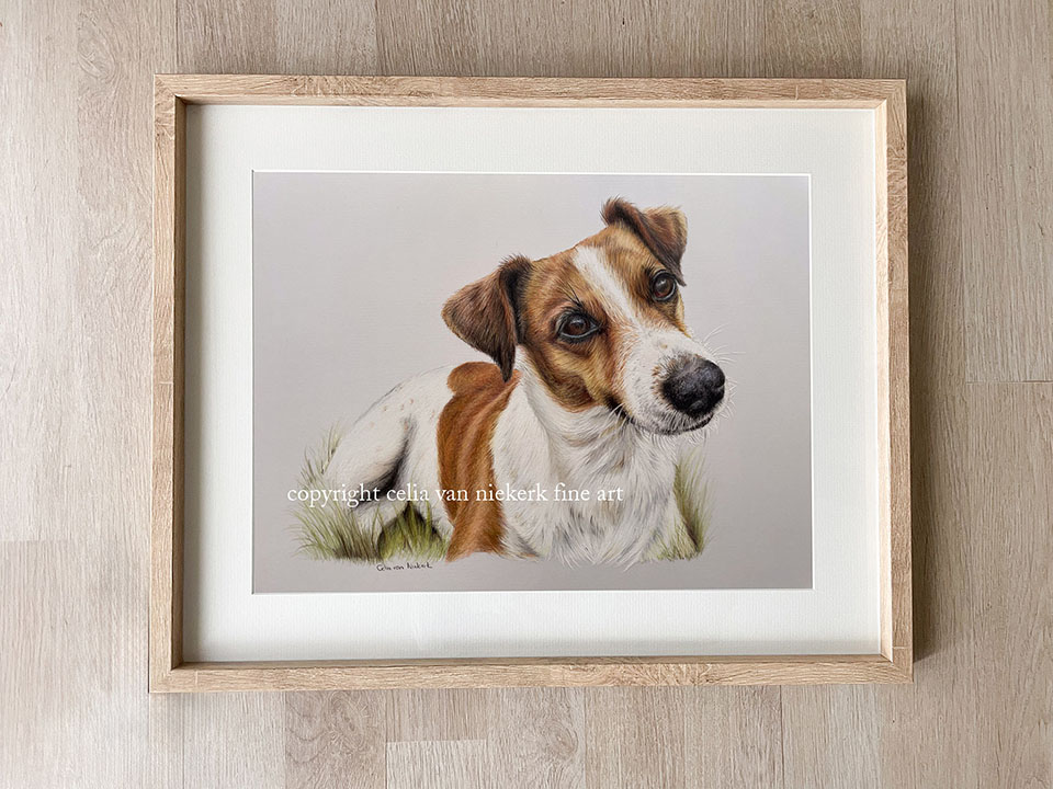 framed dog portrait by artist celia van niekerk