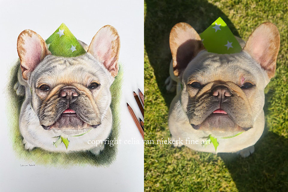 drawing of a dog vs the reference photo