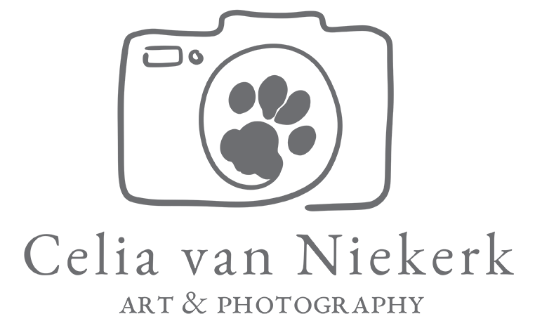 celia van niekerk art logo