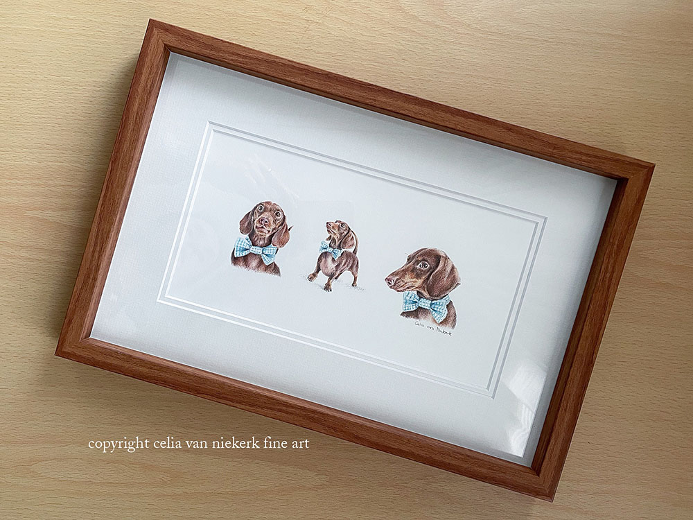 framed triptyc mini pet portrait in coloured pencil