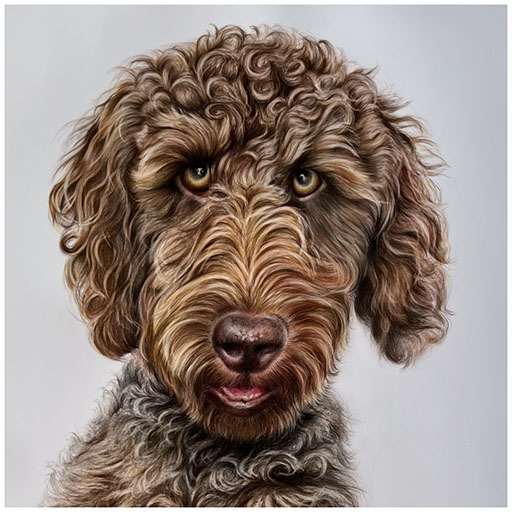 watercolour portrait illustration of man and a dog