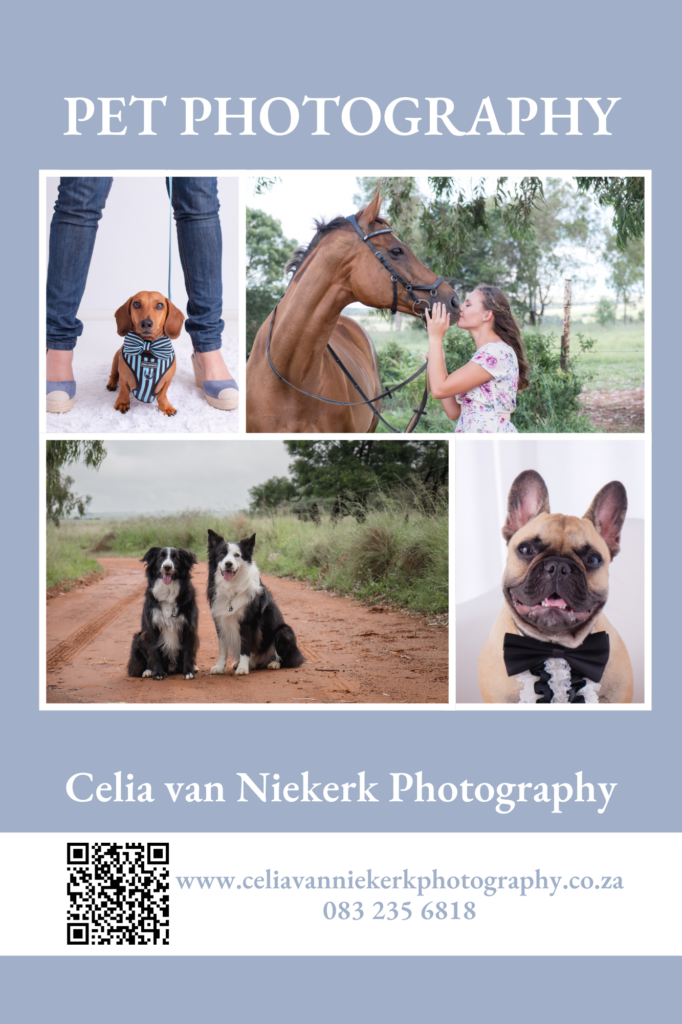 Celia van Niekerk Pet and Family Photography